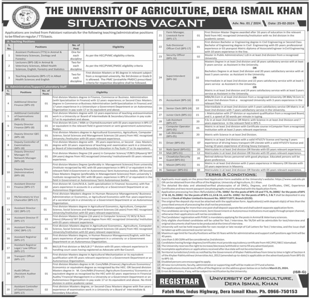 University Of Agriculture Dera Ismail Khan Jobs 2024 Online Apply