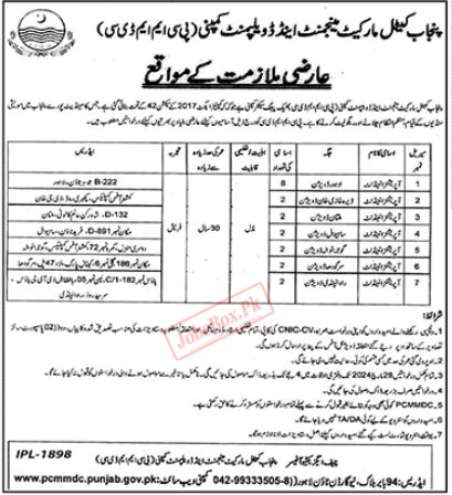 PCMMDC Jobs 2024 Latest Advertisement